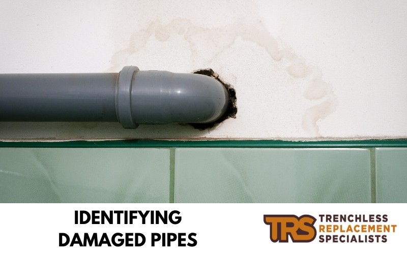 identify damaged pipes by looking for suspicious water stains